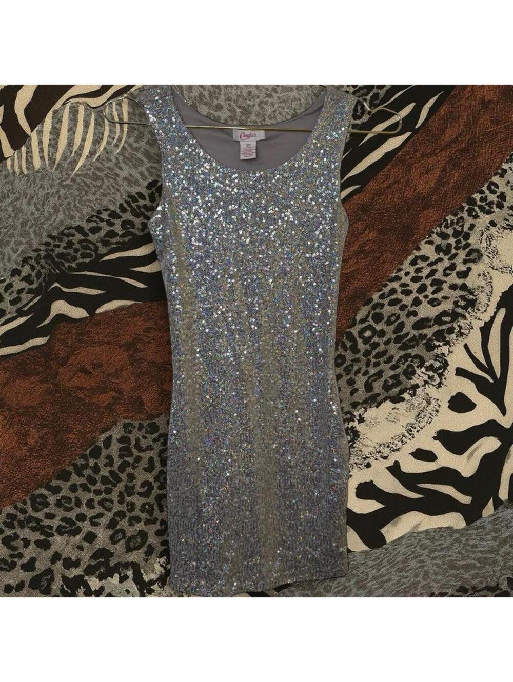 Silver sequin bodycon dress with zipper back.